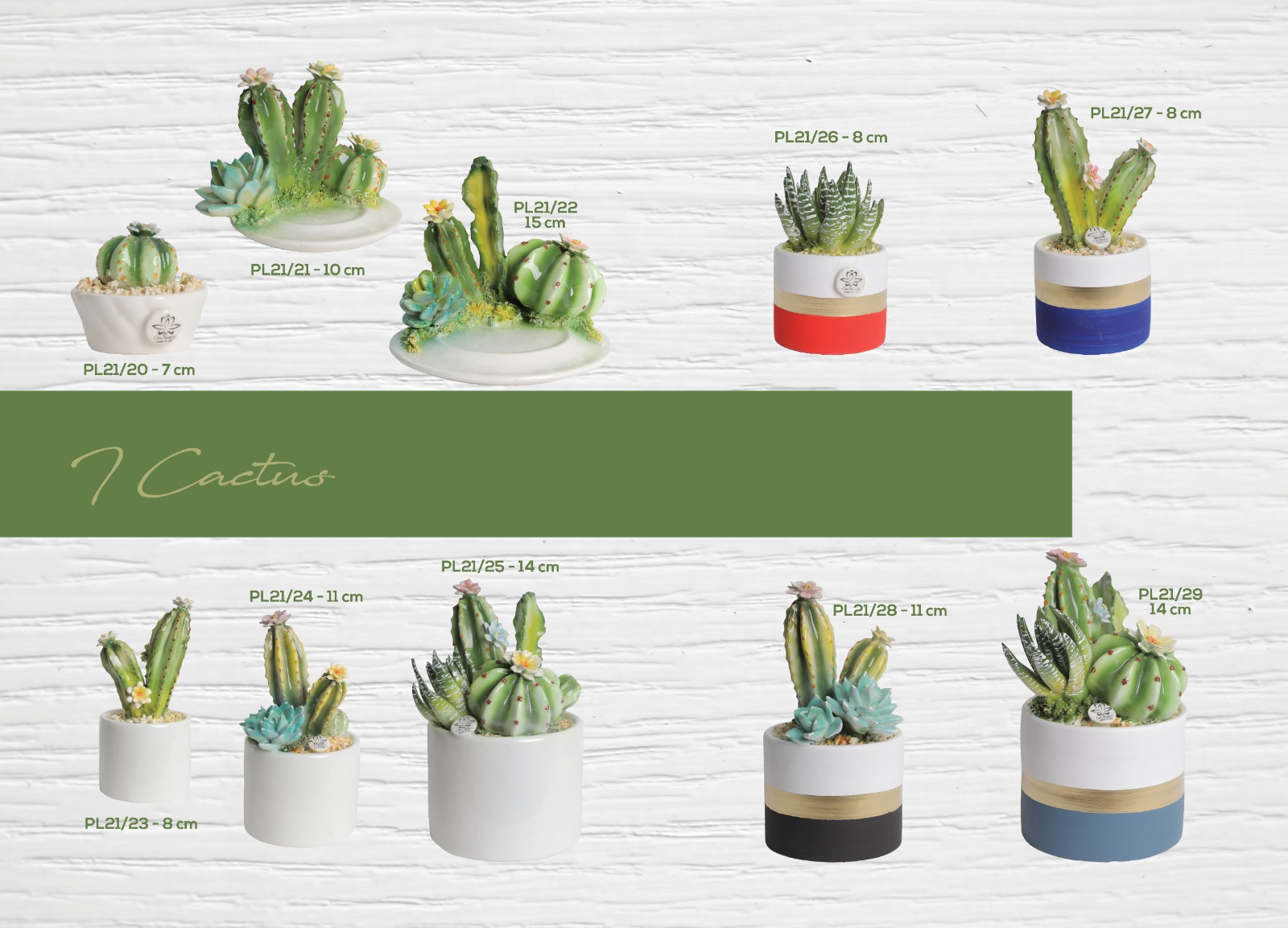 Piantine grasse cactus piccole per bomboniere onLine